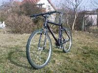 Cannondale von vorn links