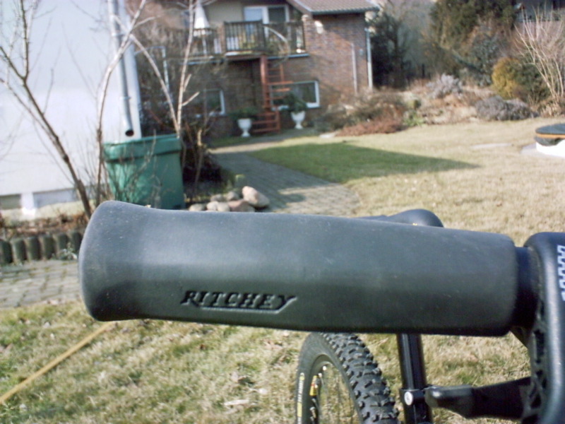 Ritchey Griffe